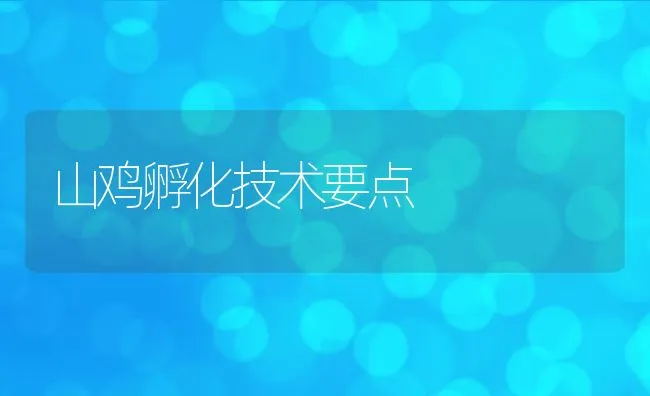 山鸡孵化技术要点 | 动物养殖饲料