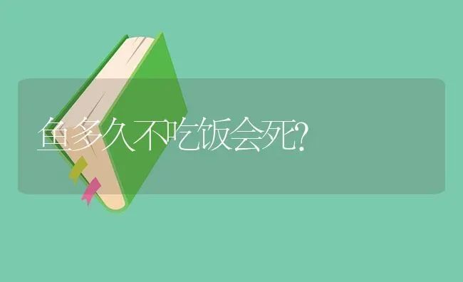 成年趴地虎鱼长什么样？ | 鱼类宠物饲养