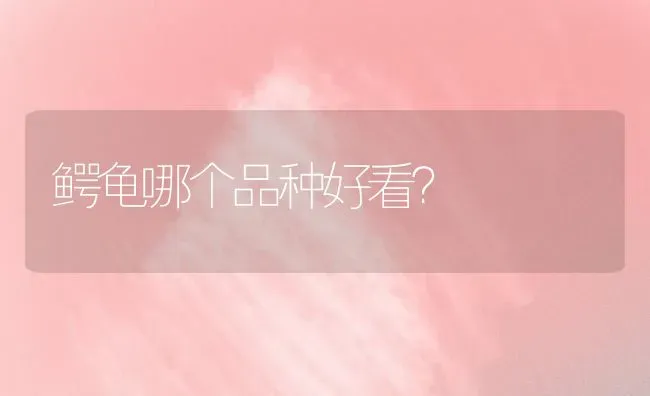 2岁狗狗牙齿会换几颗？ | 动物养殖问答