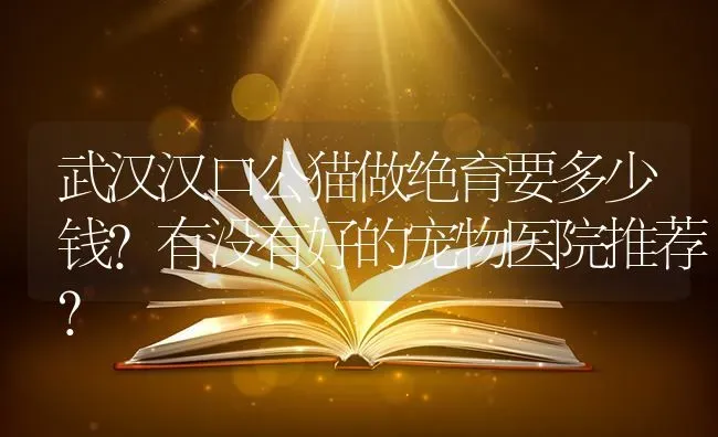 武汉汉口公猫做绝育要多少钱？有没有好的宠物医院推荐？ | 动物养殖问答