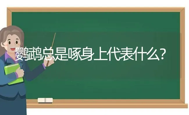 鹦鹉总是啄身上代表什么？ | 动物养殖问答