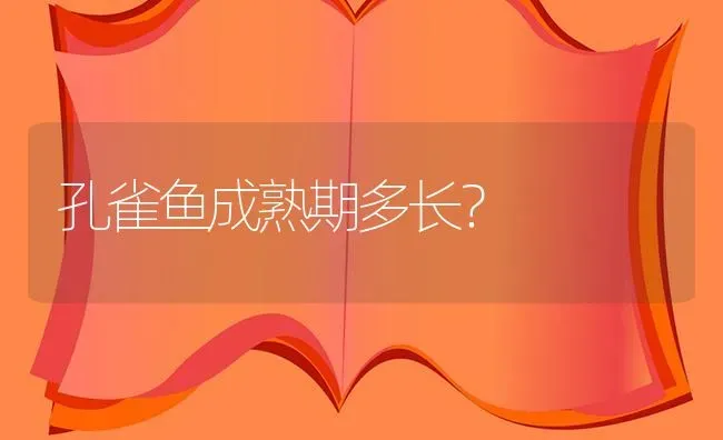 孔雀鱼成熟期多长？ | 鱼类宠物饲养