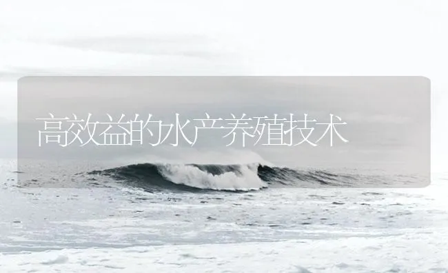 高效益的水产养殖技术 | 海水养殖技术