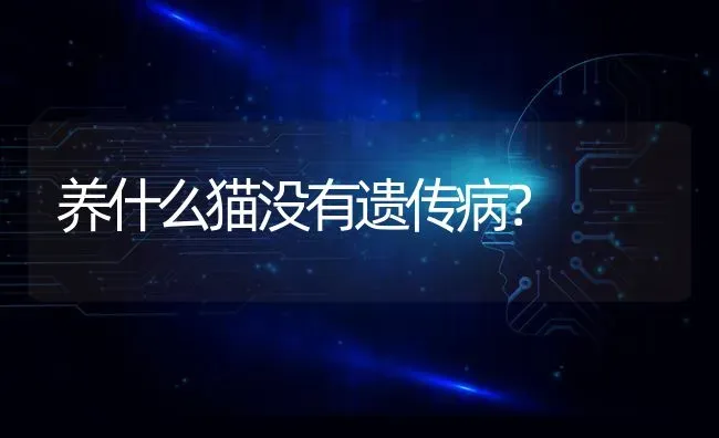 养什么猫没有遗传病？ | 动物养殖问答