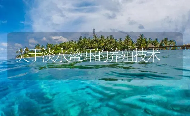 关于淡水螯虾的养殖技术 | 海水养殖技术