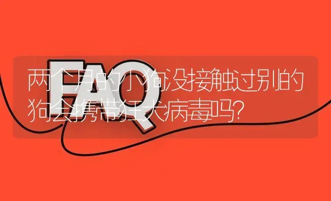 两个月的小狗没接触过别的狗会携带狂犬病毒吗？ | 动物养殖问答