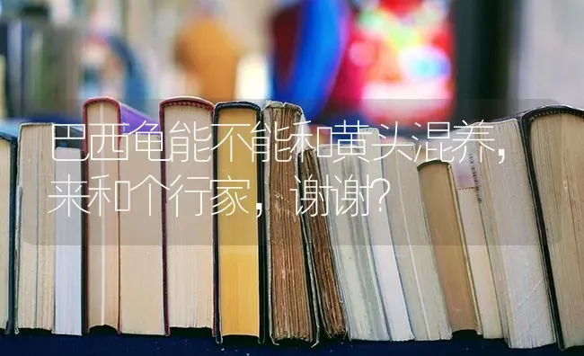 巴西龟能不能和黄头混养，来和个行家，谢谢？ | 动物养殖问答