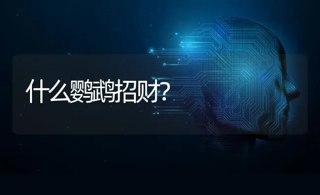 什么鹦鹉招财？ | 动物养殖问答