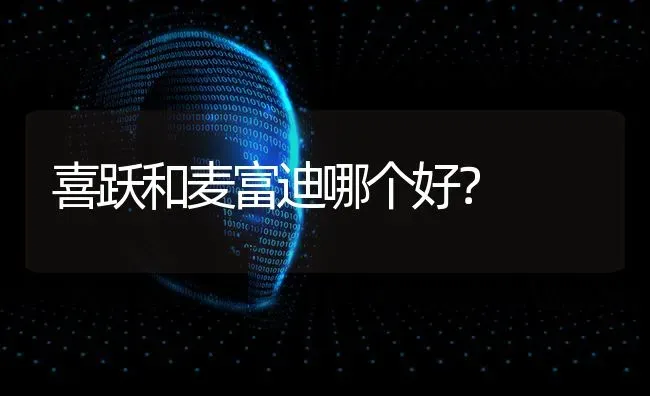 喜跃和麦富迪哪个好？ | 动物养殖问答