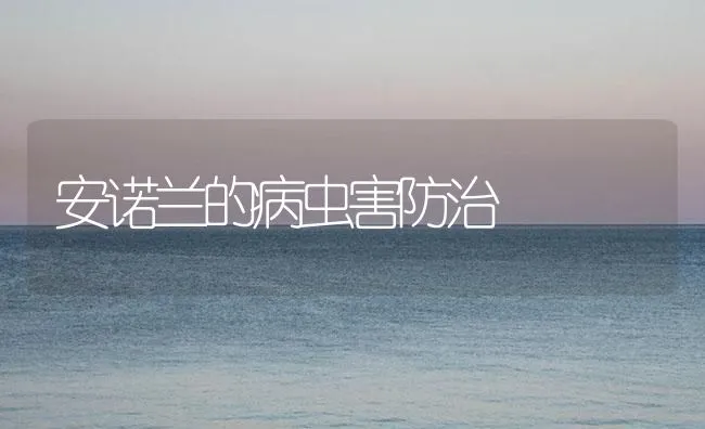 安诺兰的病虫害防治 | 海水养殖技术