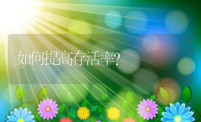 如何提高存活率？ | 动物养殖学堂