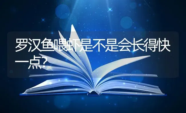 罗汉鱼喂虾是不是会长得快一点？ | 鱼类宠物饲养