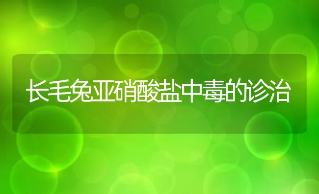 对虾病毒性红腿病的防治 | 海水养殖技术