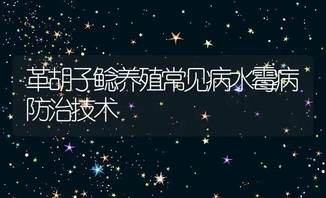 革胡子鲶养殖常见病水霉病防治技术 | 动物养殖教程