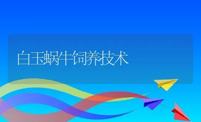 白玉蜗牛饲养技术 | 动物养殖教程