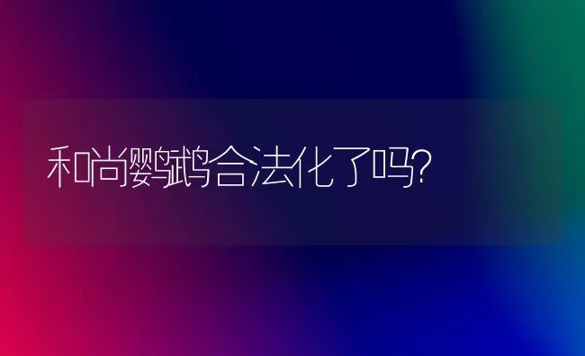 和尚鹦鹉合法化了吗？ | 动物养殖问答