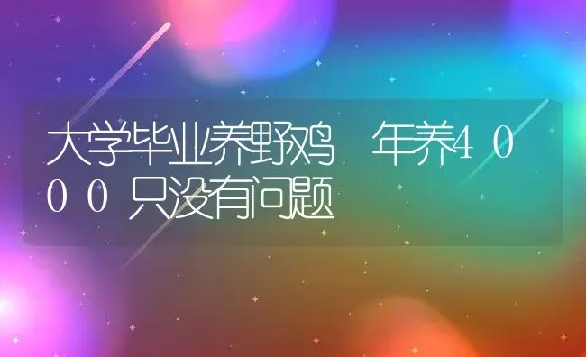 大学毕业养野鸡 年养4000只没有问题 | 动物养殖教程