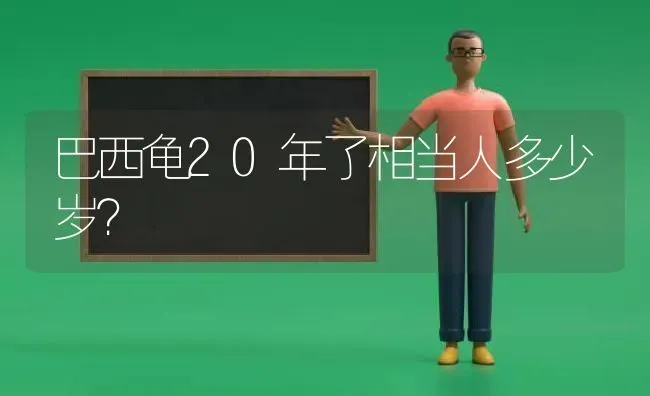 巴西龟20年了相当人多少岁？ | 动物养殖问答