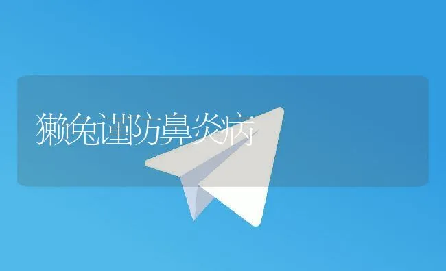 獭兔谨防鼻炎病 | 动物养殖学堂