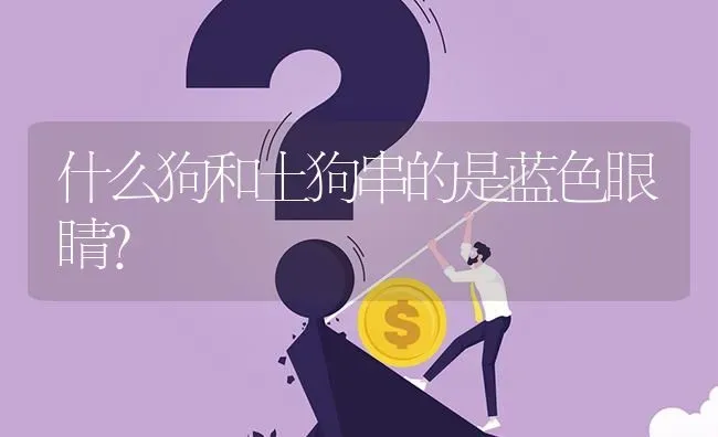 什么狗和土狗串的是蓝色眼睛？ | 动物养殖问答