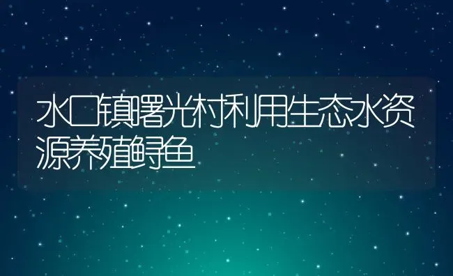 水口镇曙光村利用生态水资源养殖鲟鱼 | 动物养殖教程