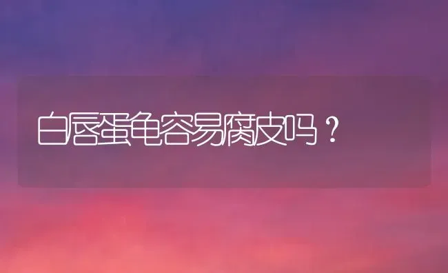 白唇蛋龟容易腐皮吗？ | 动物养殖问答