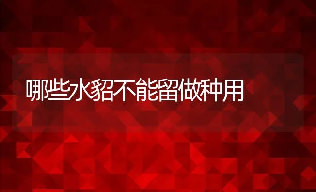 青蟹常见病害的识别与防治 | 海水养殖技术