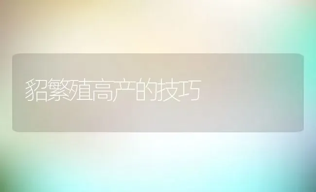 貂繁殖高产的技巧 | 动物养殖教程