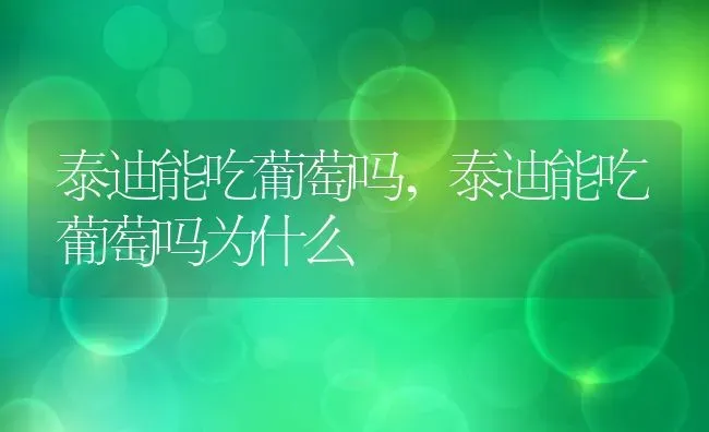 泰迪能吃葡萄吗,泰迪能吃葡萄吗为什么 | 宠物百科知识