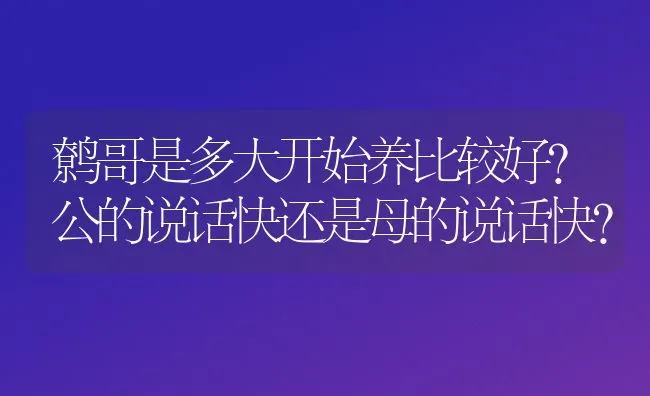 鹩哥是多大开始养比较好?公的说话快还是母的说话快？ | 动物养殖问答