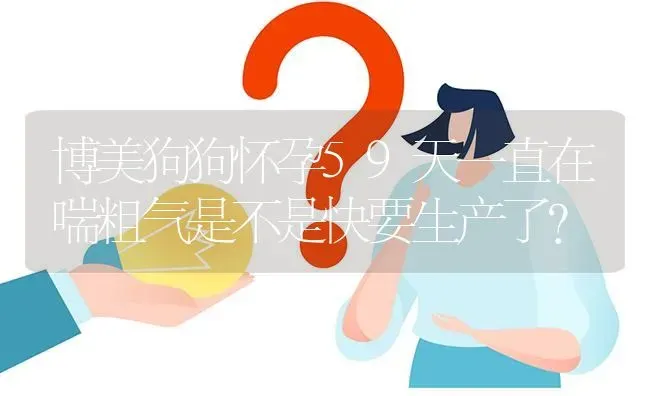 博美狗狗怀孕59天一直在喘粗气是不是快要生产了？ | 动物养殖问答