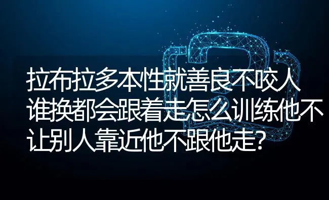 拉布拉多本性就善良不咬人谁换都会跟着走怎么训练他不让别人靠近他不跟他走？ | 动物养殖问答