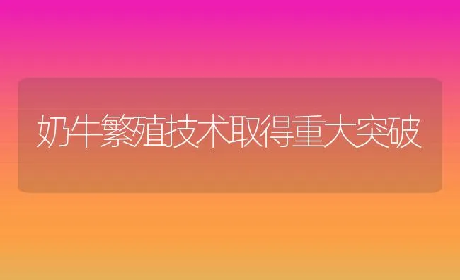 鹌鹑养殖技术（下） | 水产养殖知识