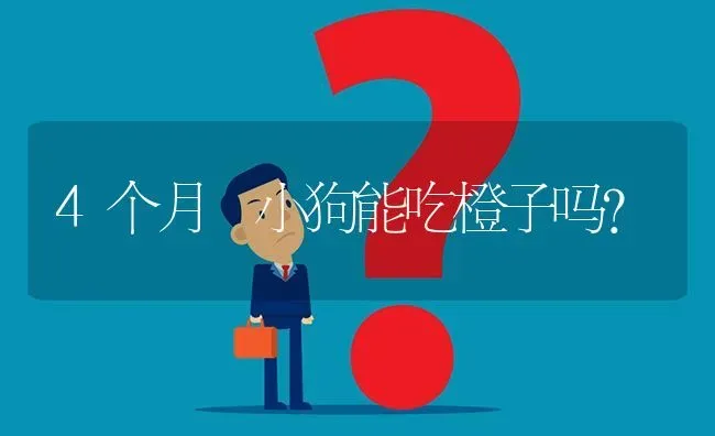 4个月 小狗能吃橙子吗？ | 动物养殖问答