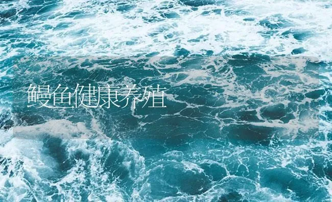 鳗鱼健康养殖 | 海水养殖技术