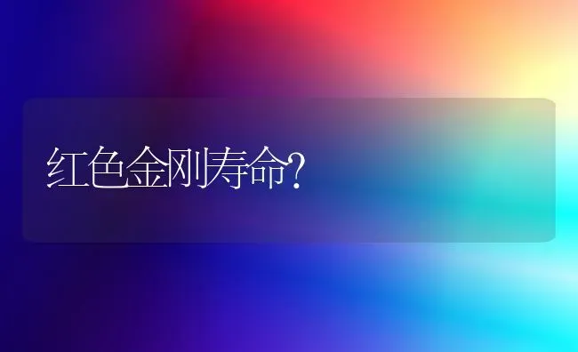 红色金刚寿命？ | 动物养殖问答