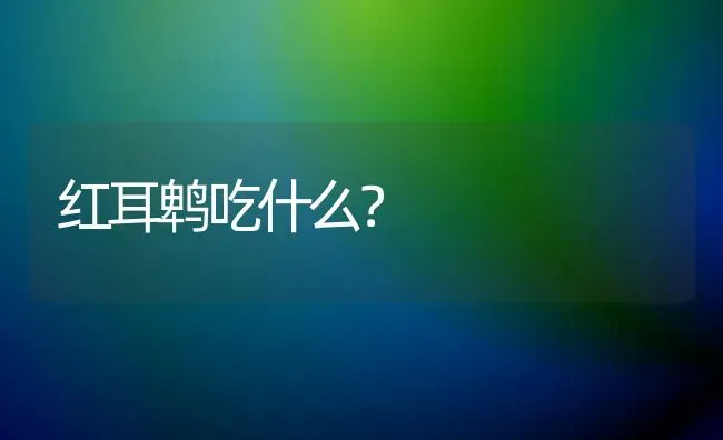 红耳鹎吃什么？ | 动物养殖问答