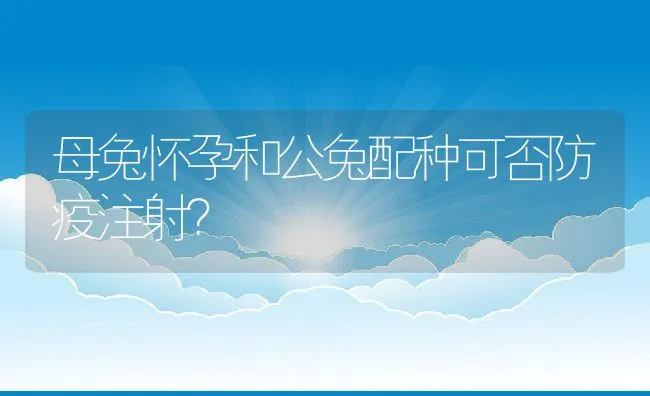 母兔怀孕和公兔配种可否防疫注射？ | 水产养殖知识