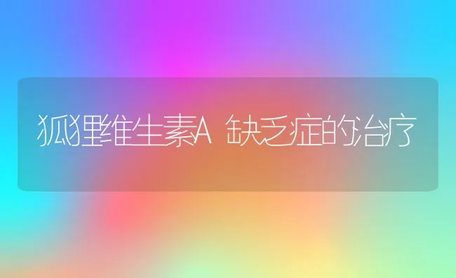 狐狸维生素A缺乏症的治疗 | 动物养殖学堂