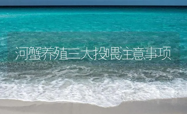 河蟹养殖三大投喂注意事项 | 海水养殖技术