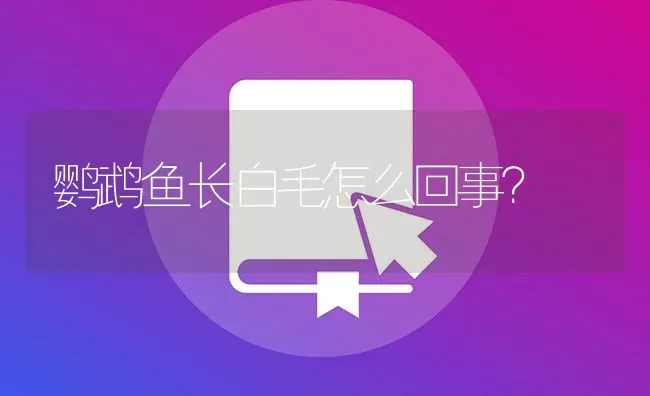 鹦鹉鱼长白毛怎么回事？ | 鱼类宠物饲养