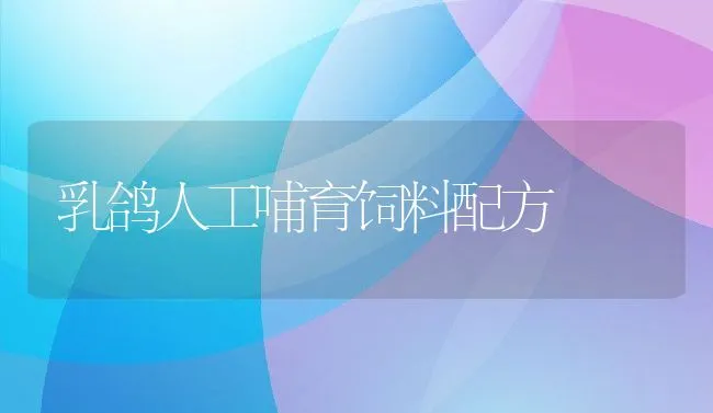 乳鸽人工哺育饲料配方 | 动物养殖饲料