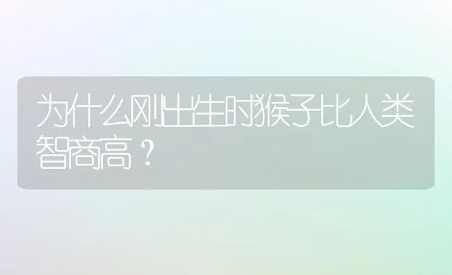 为什么刚出生时猴子比人类智商高？ | 动物养殖问答