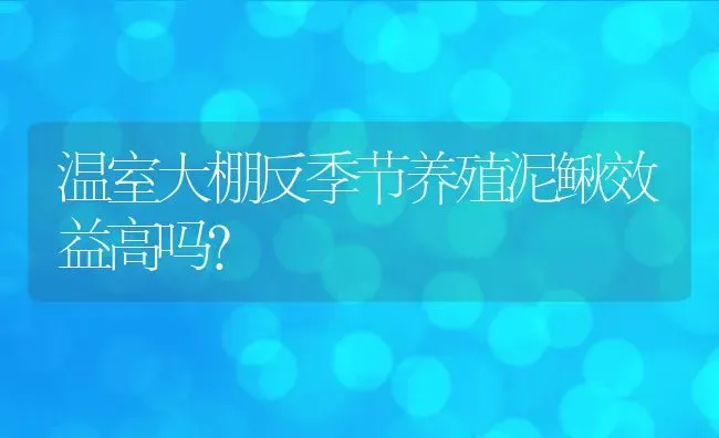 温室大棚反季节养殖泥鳅效益高吗？ | 动物养殖百科