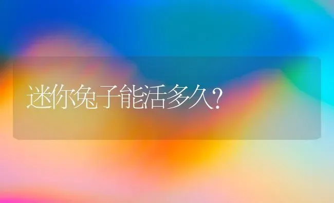 什么狗长大后毛耸耸的？ | 动物养殖问答