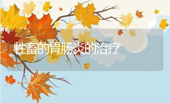 养殖山鸡的经验与技巧 | 动物养殖学堂