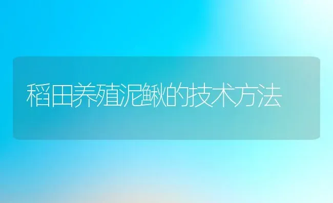 稻田养殖泥鳅的技术方法 | 动物养殖百科