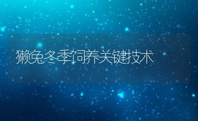 獭兔冬季饲养关键技术 | 水产养殖知识