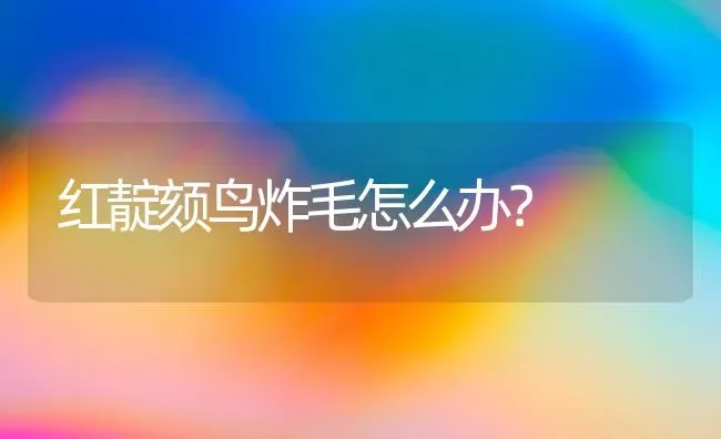 红靛颏鸟炸毛怎么办？ | 动物养殖问答