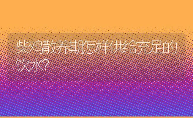 柴鸡散养期怎样供给充足的饮水？ | 动物养殖学堂